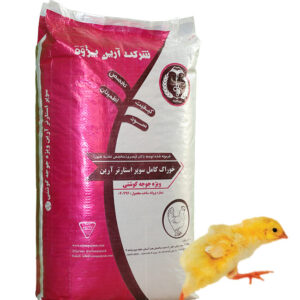 سوپر استارتر آرین