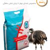 خوراک کامل دوره رشد شترمرغ - ابتدای 4 تا پایان 6 ماهگی