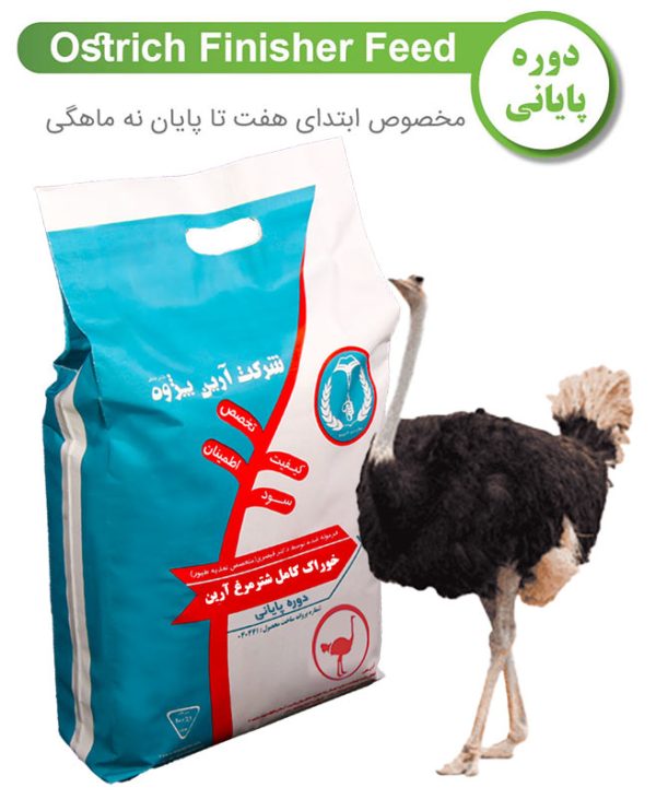 خوراک کامل دوره پایانی شترمرغ -ابتدای 7 تا پایان 9 ماهگی