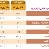 کنسانتره 2/5 درصد نقره ایی بلدرچین تخمگذار  آرین - Image 3